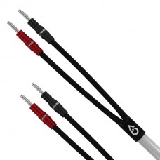 ClearwayX Speaker Cable 3m terminated pair